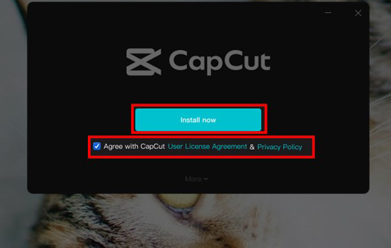 install capcut